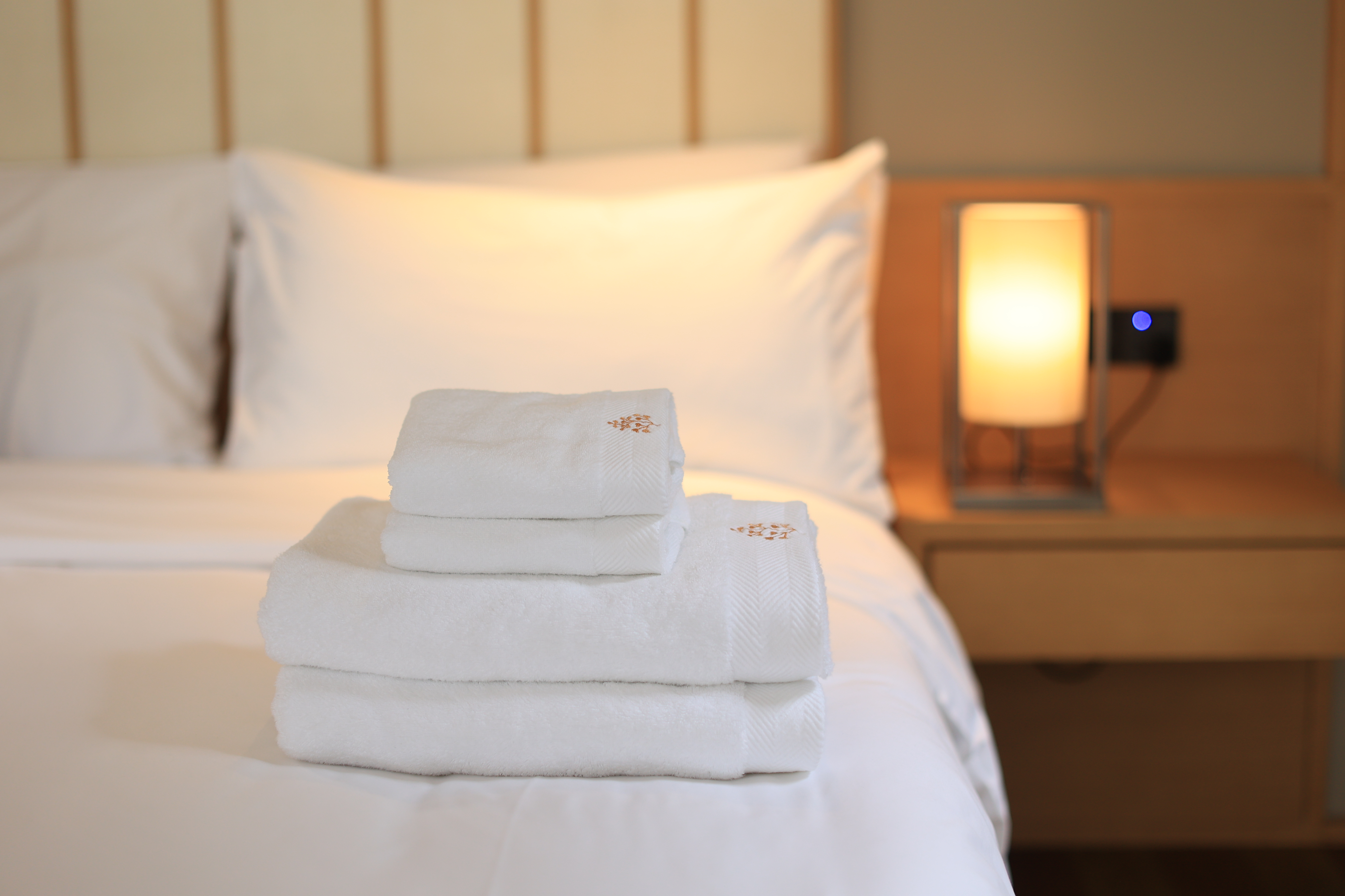 木莲无霾行政大床房