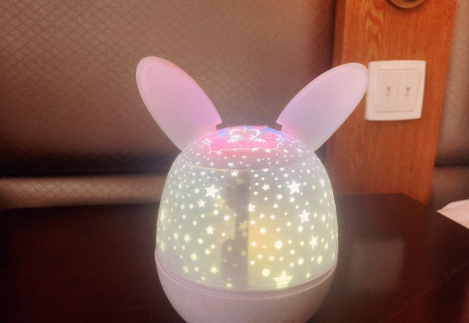 智利小黄鸭榻榻米