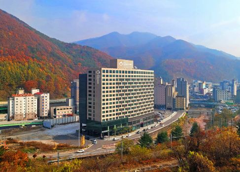 정선트라움밸리호텔(구)정선인투라온