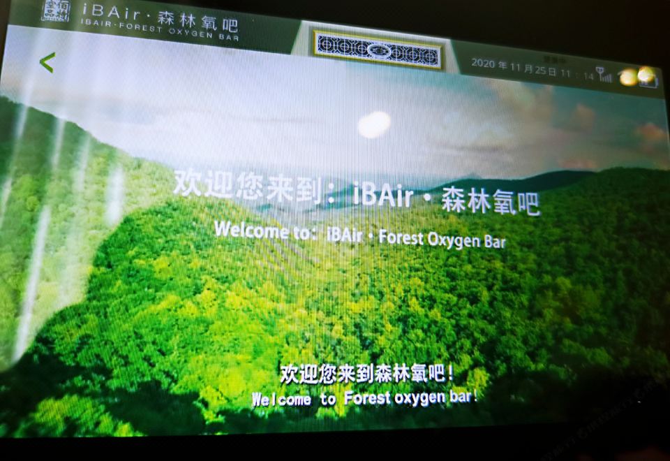 负氧离子清新双床房