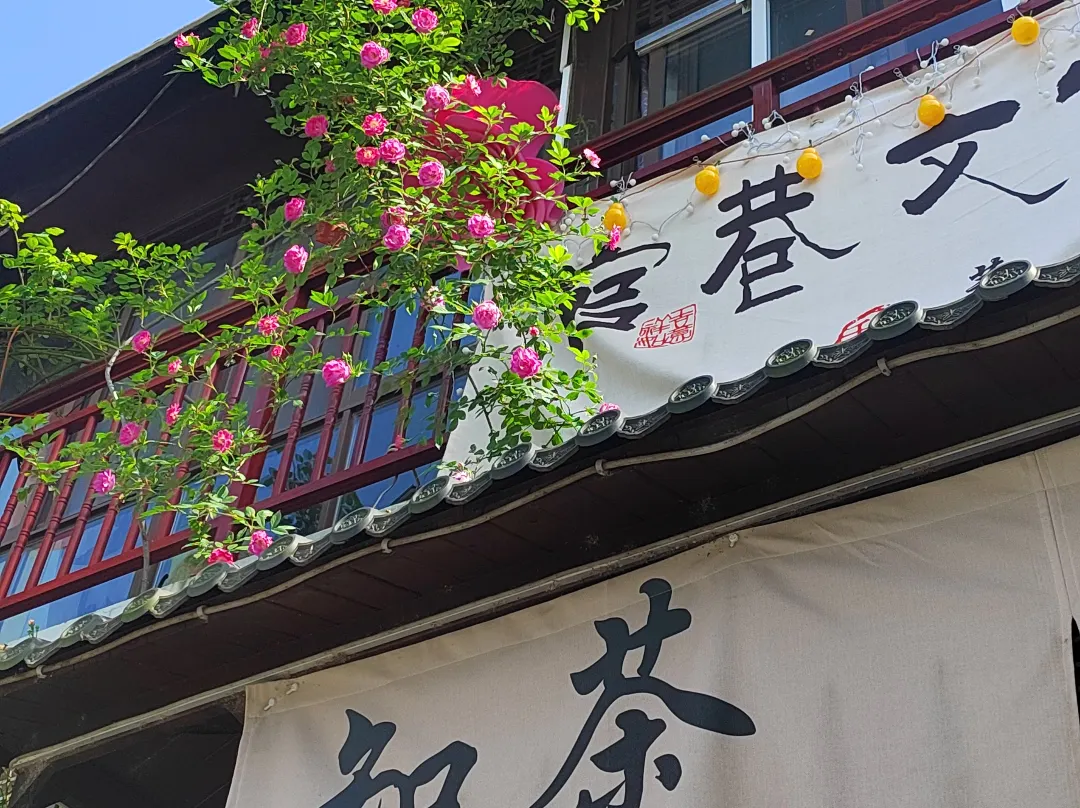 Zhiwo Teayard - Wuhu