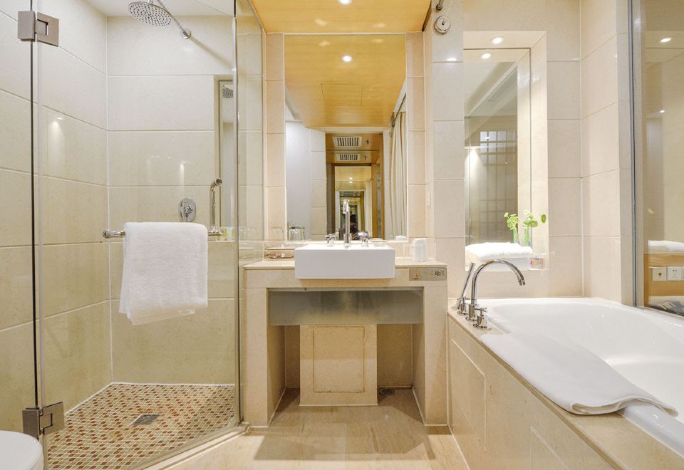 现代景·雅致双床房