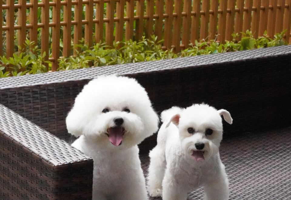 Mhub by MGM Nanjing JiangningSuite With Courtyard View