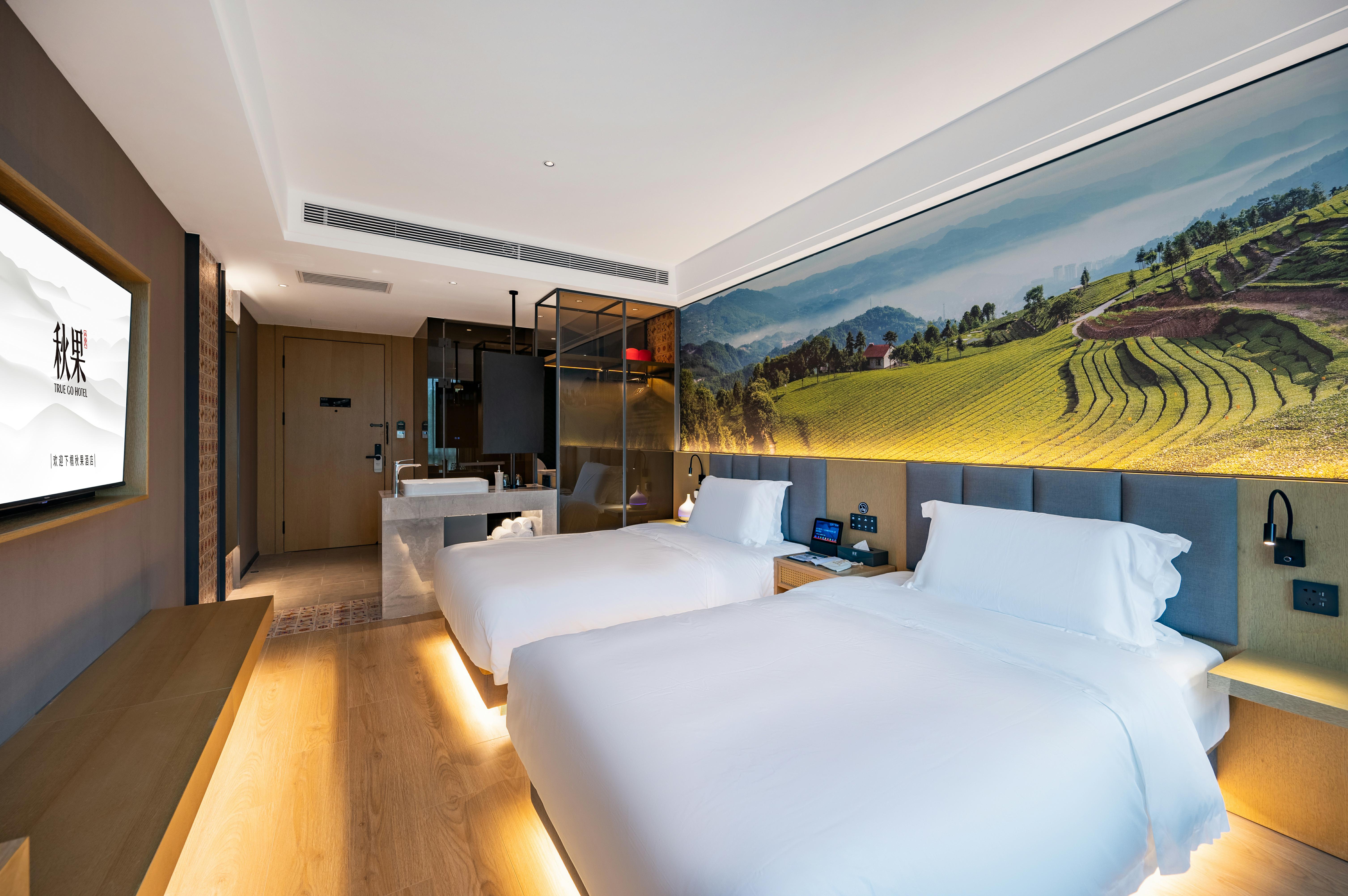 精选高级双床房（智能客控+电视投屏+迷你冰箱）