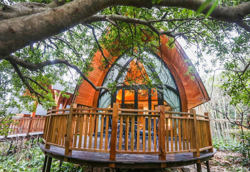 Hangzhou SENBO Nature Park and ResortRomantic Manor Four-Bedroom Villa