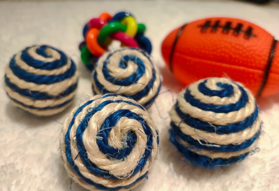 柏薇雙臥汪星社