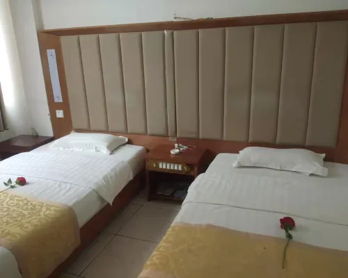 Danfeng Youth Business Hotel Hotels in Danfeng County
