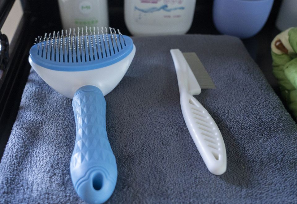 海景家庭三室寵物套房