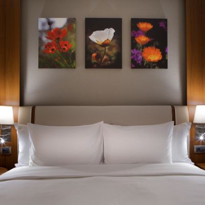 一卧室套房 伊斯坦堡貝利克杜祖希爾頓花園酒店優惠