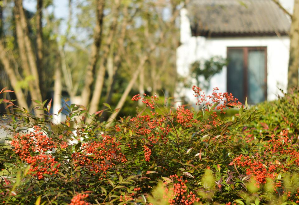 园景五居庭院房