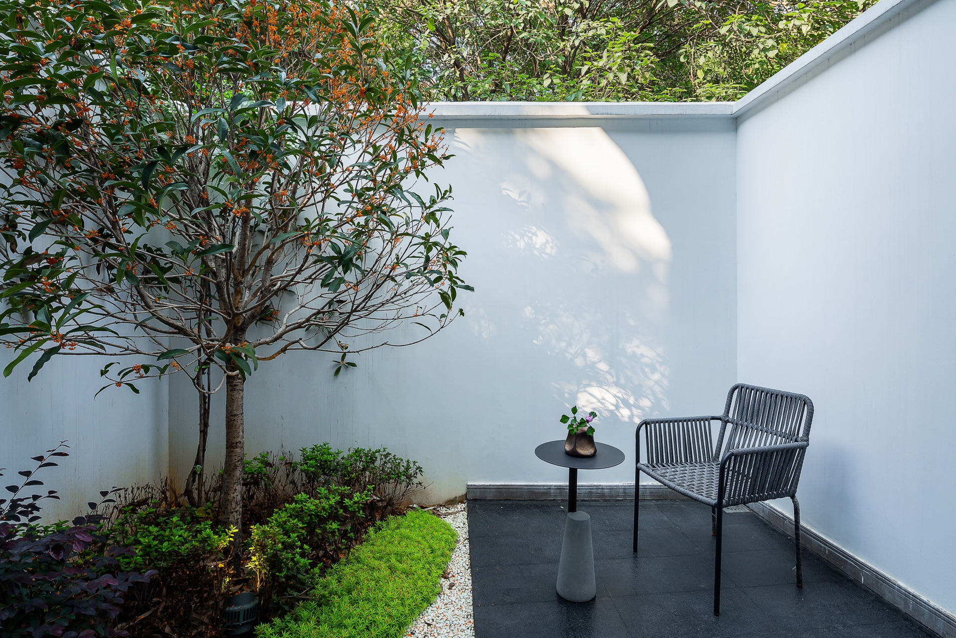 百草园-院落大床套房（泡泡浴缸+落地窗+高端洗护）