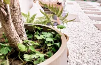 Cat Youth Hostel in Qufu Alley Hotels in 