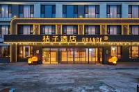 Orange Hotel (Sailimu Lake Branch)