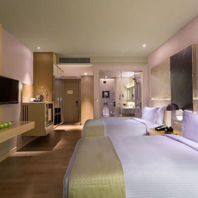 高級房 新德里國際機場假日旅館優惠