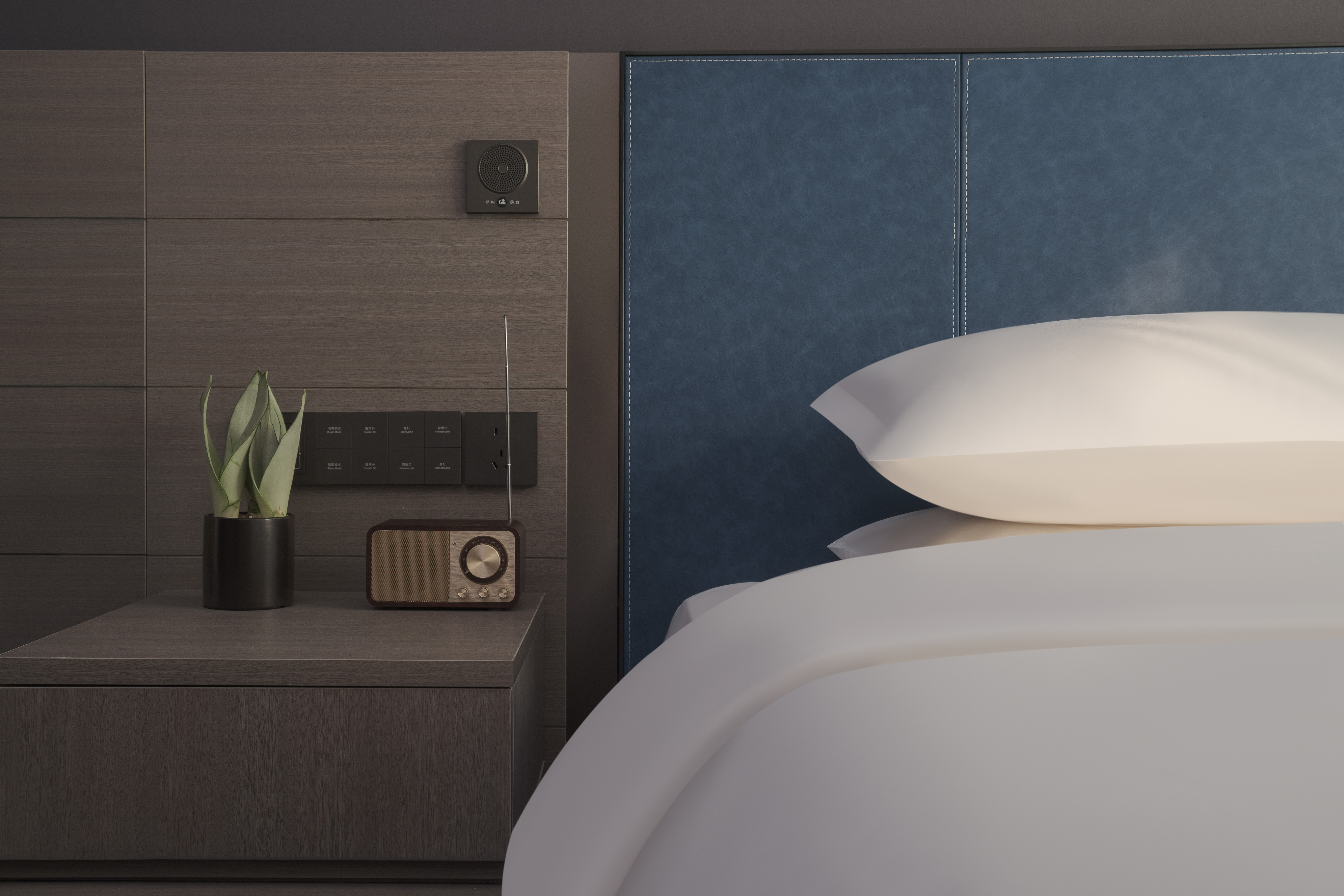 礼白望城阁（高清投屏电视+小冰箱+小型盆景+乳胶枕）