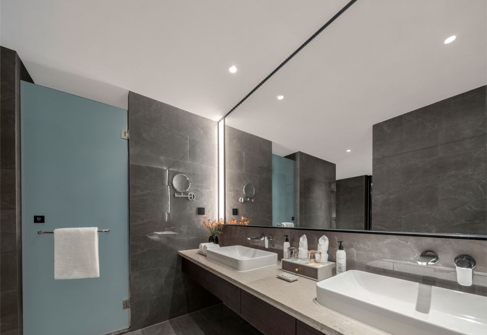 高級市景雙床房