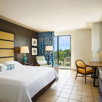 Rainforest View Junior Suite Wyndham Grand Rio Mar Puerto Rico Golf & Beach Resort Promo Code