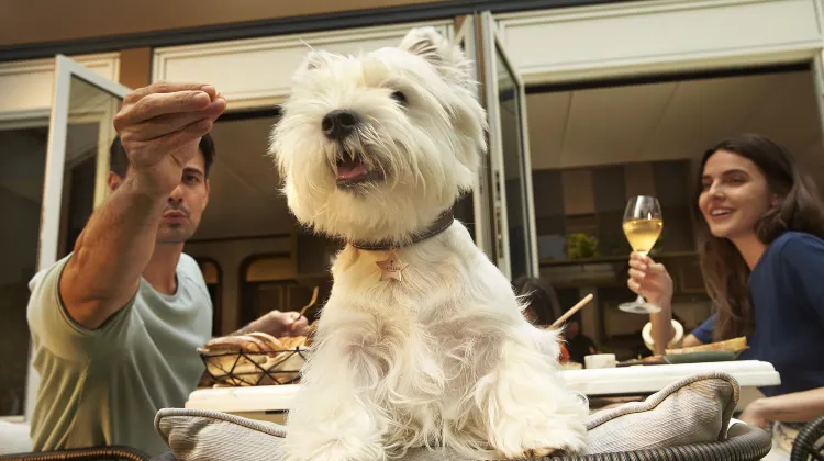 曼谷嘉佩樂酒店 餐廳