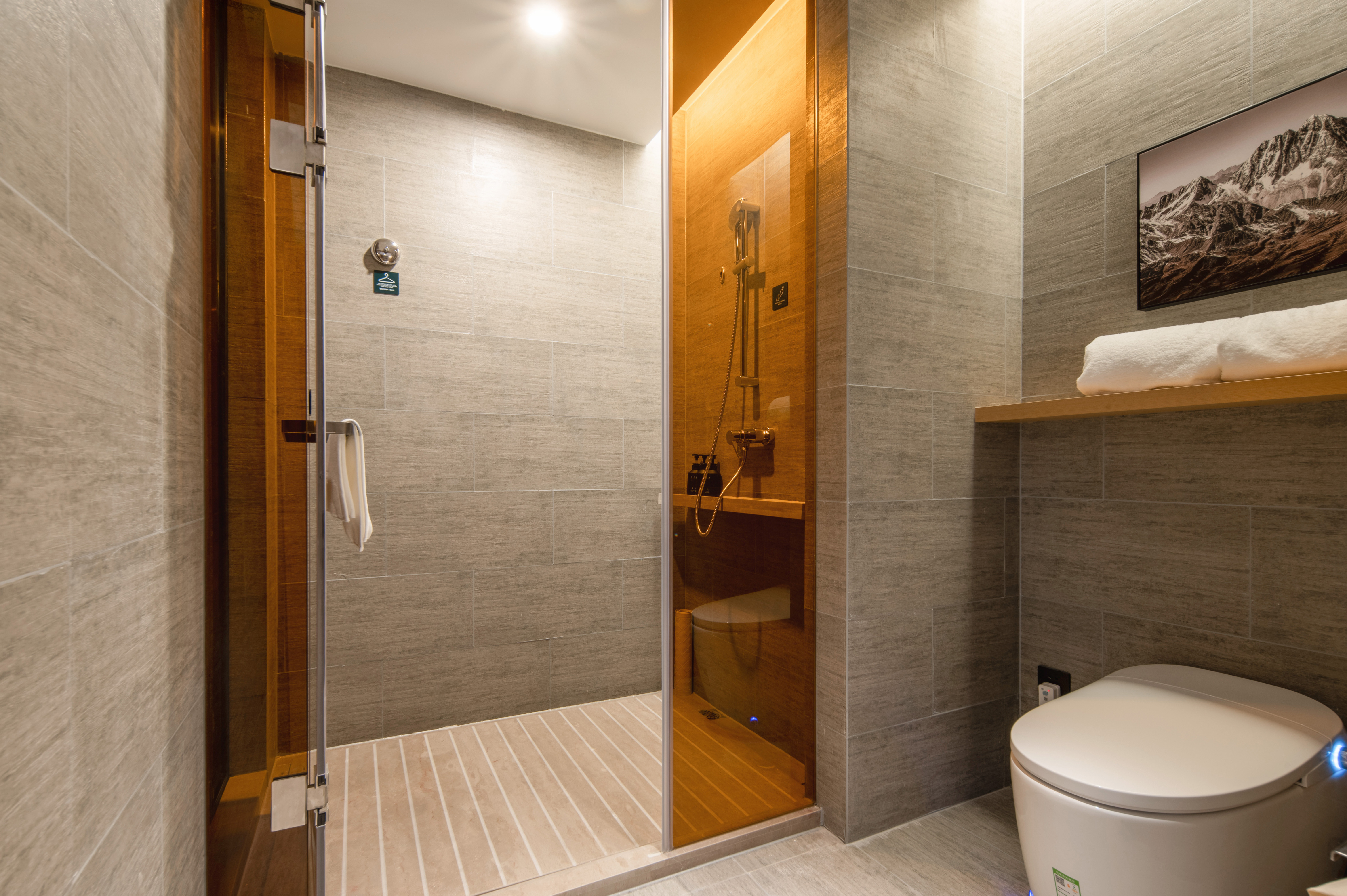 高級大床房（恒溫馬桶+手機投屏）