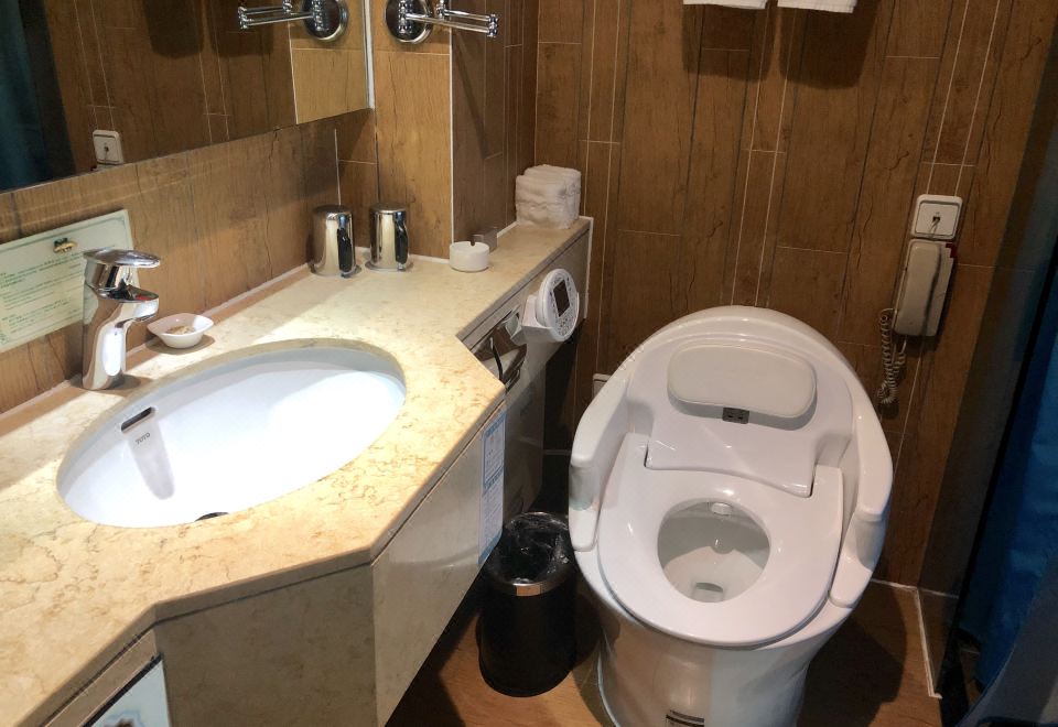 1881 Peninsula Hotel Garden Terrace Pavilion Lake View Room