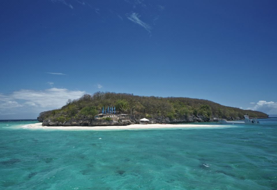 a tropical island with clear blue water and white sandy beach , surrounded by lush green vegetation at Bluewater Sumilon Island Resort