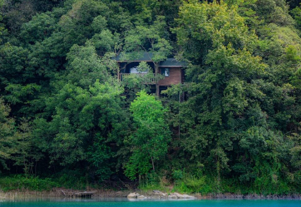 野宿树屋双床房