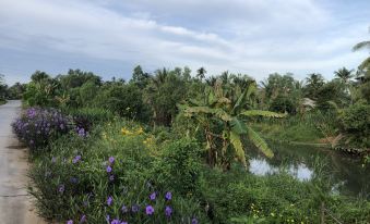 Bau Bi Mini Farmstay Mekong - Tien Giang