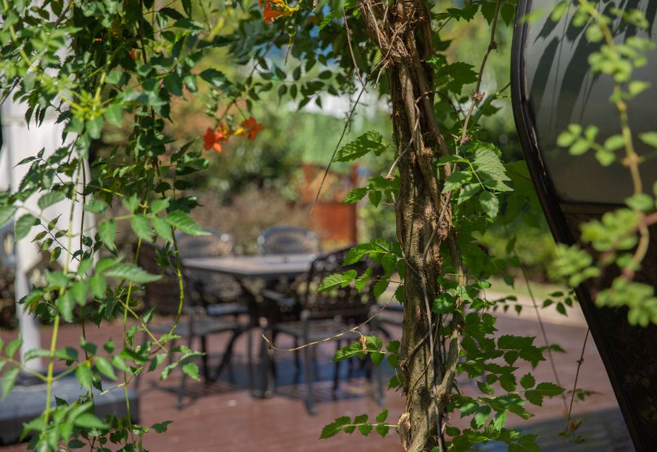 Delight American-Style Leisure Rv Courtyard