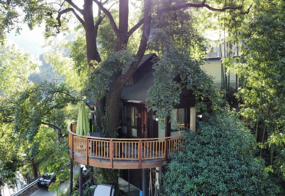 独栋包栋千年古树树屋