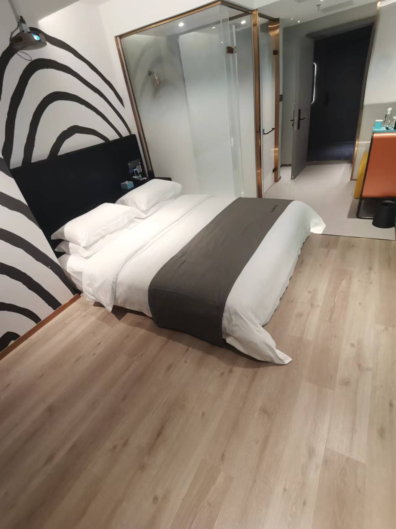 影音巨幕房（全屋智能语音控制+幕布投影）