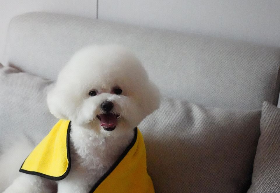 Mhub by MGM Nanjing JiangningMhub Courtyard Double Bed Room Co-branded With Yiqin