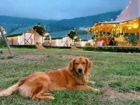 Liping Zhaoxing Sunset Valley Campground