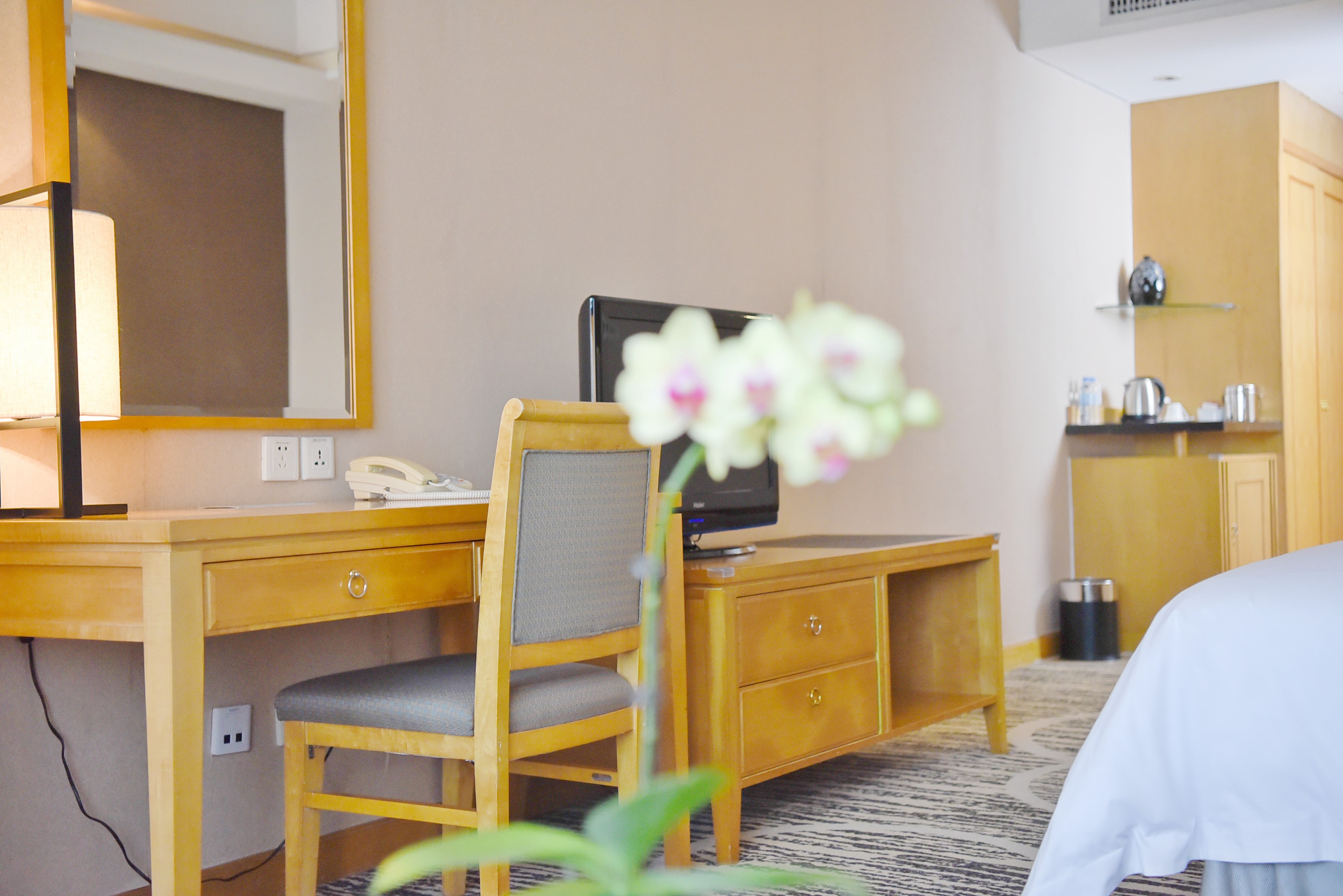 商务贵宾大床房