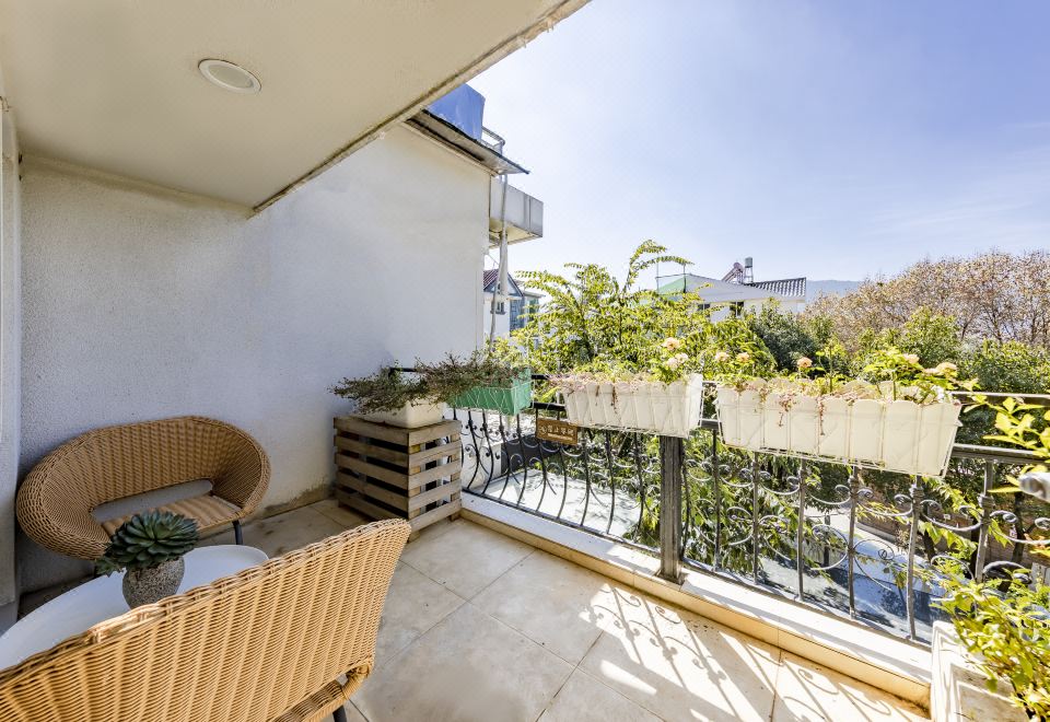 夢境·星空大床房（花園露臺丨梵高星空頂）