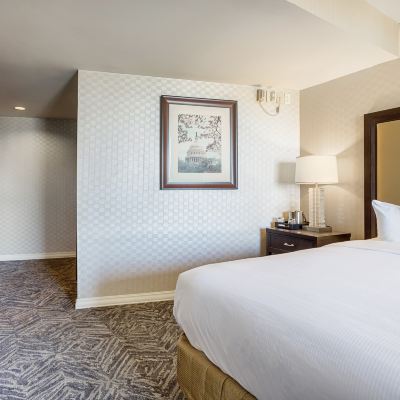 Mobility/Hearing Accessible King Room with Shower Washington Hilton Promo Code