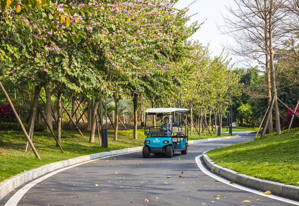 泳池别墅豪华池畔套房