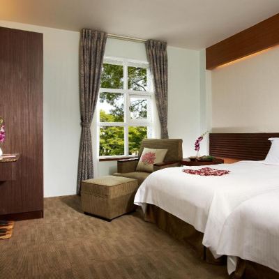 綠意雙床房 宜蘭礁溪華閣溫泉飯店優惠