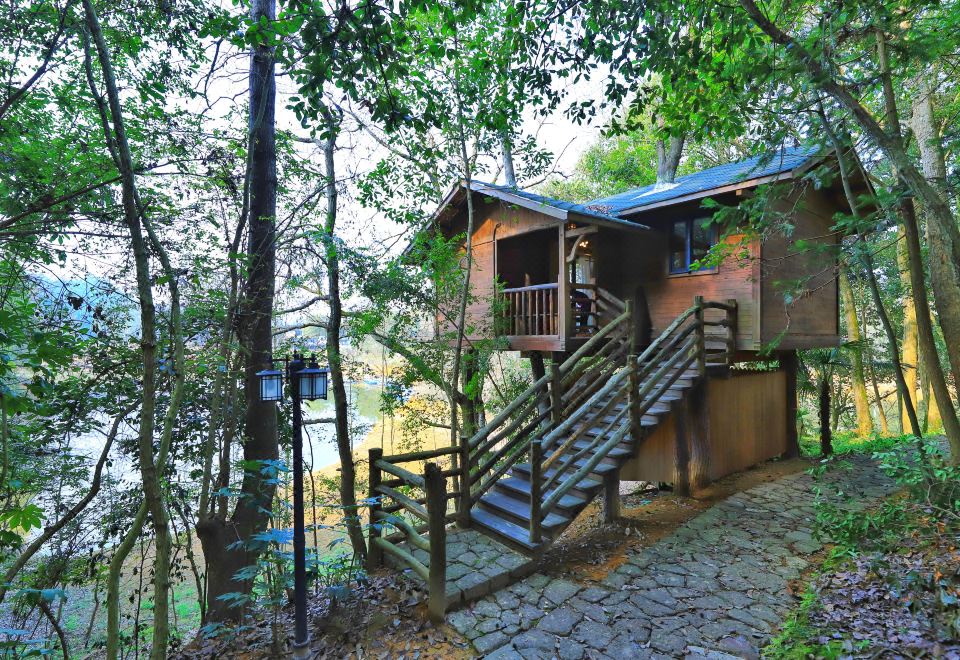 野宿树屋双床房