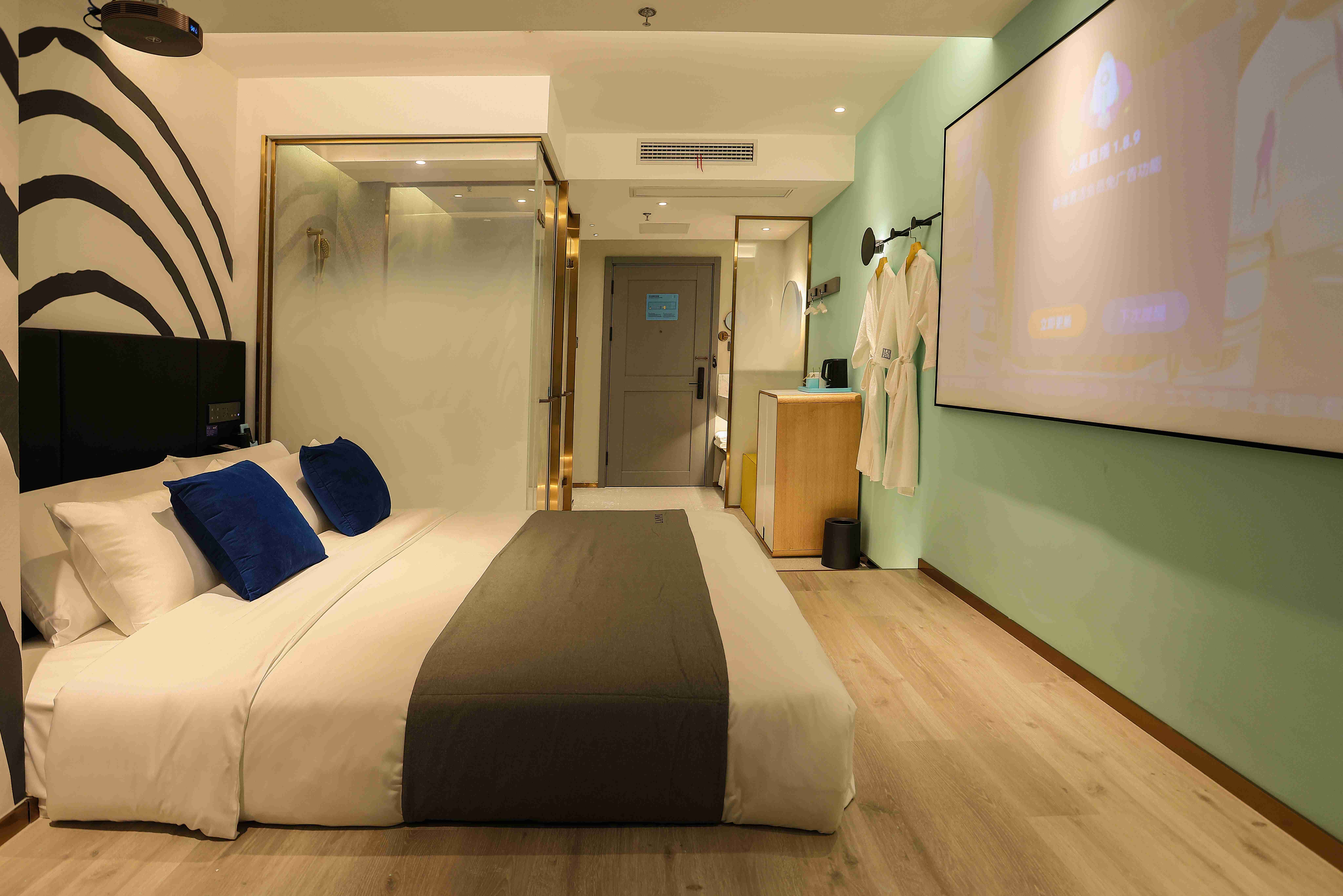 影音巨幕房（全屋智能语音控制+幕布投影）