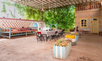 Suitetrails - New Dap Hostel (in Grape Town)