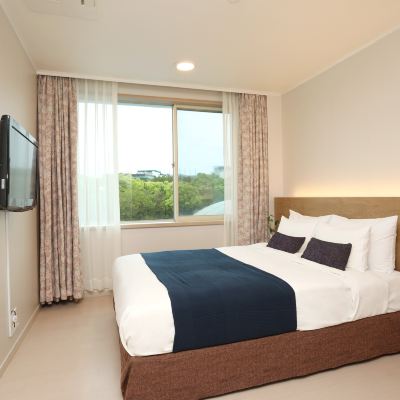 [36도 온수풀 무료] 패밀리 코너룸 블룸 호텔 제주 쿠폰