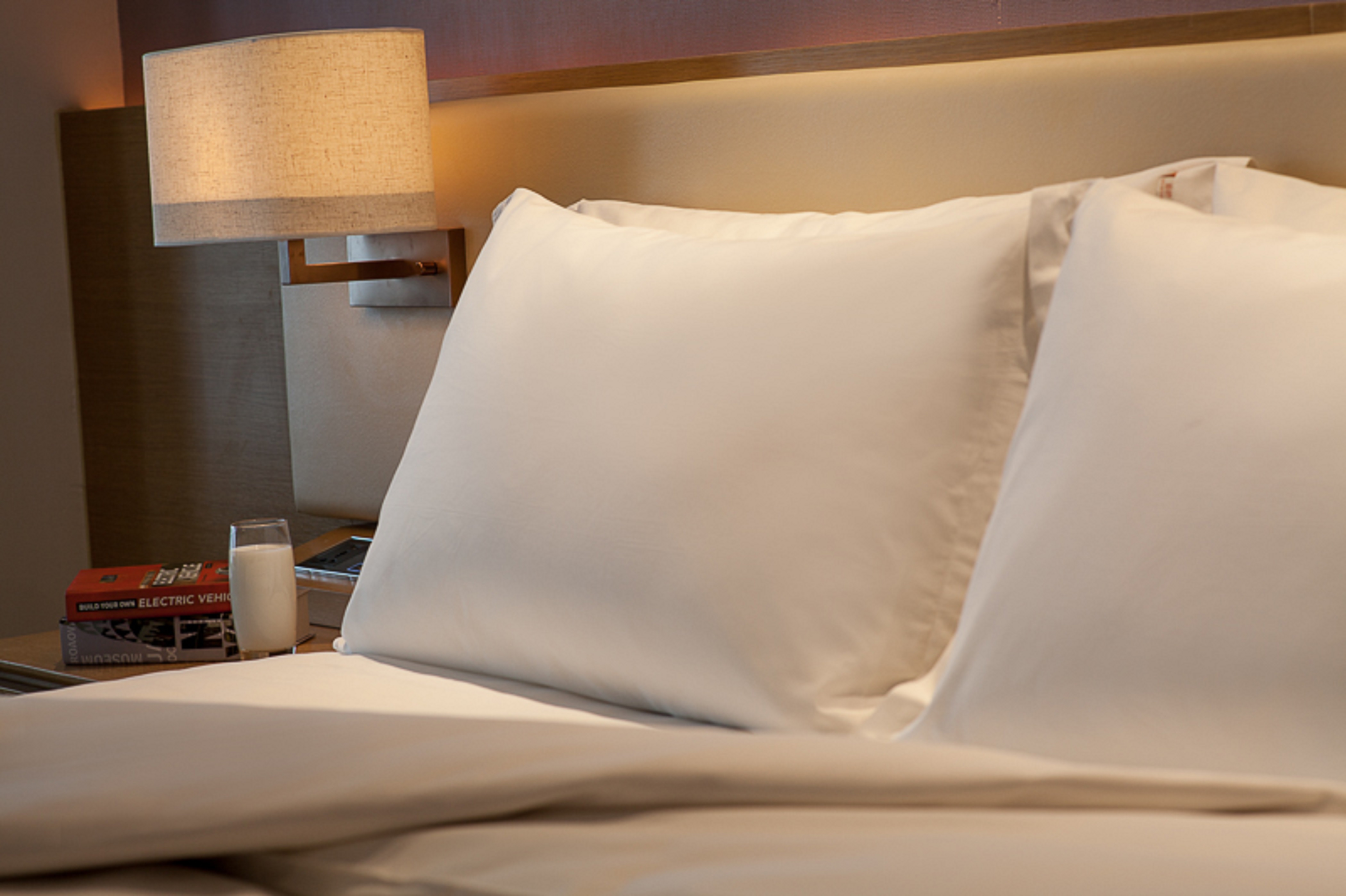 雅居大床房（助眠枕+MINI吧）