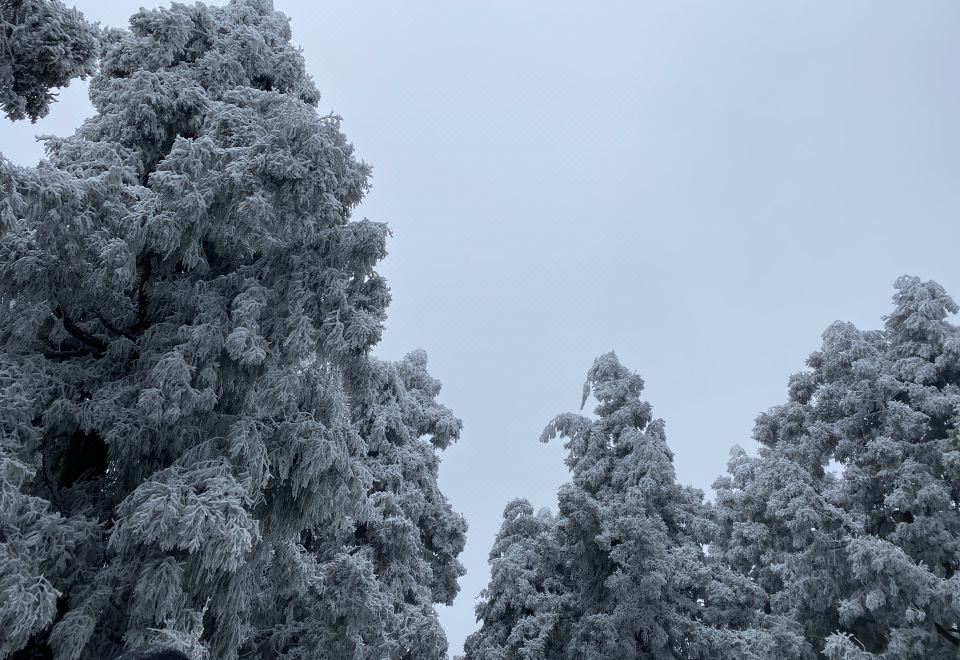 Nanyue Lotusland HotelLeisure Room