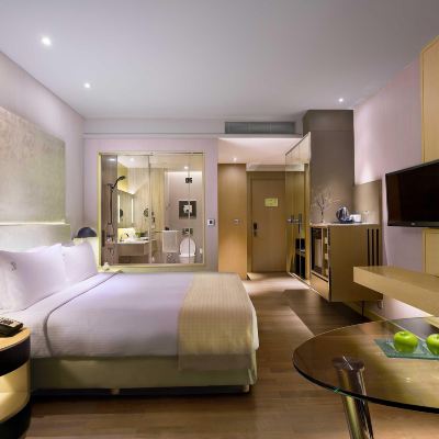 Standard King Room Non smoking Holiday Inn New Delhi International Airport, an IHG Hotel Promo Code
