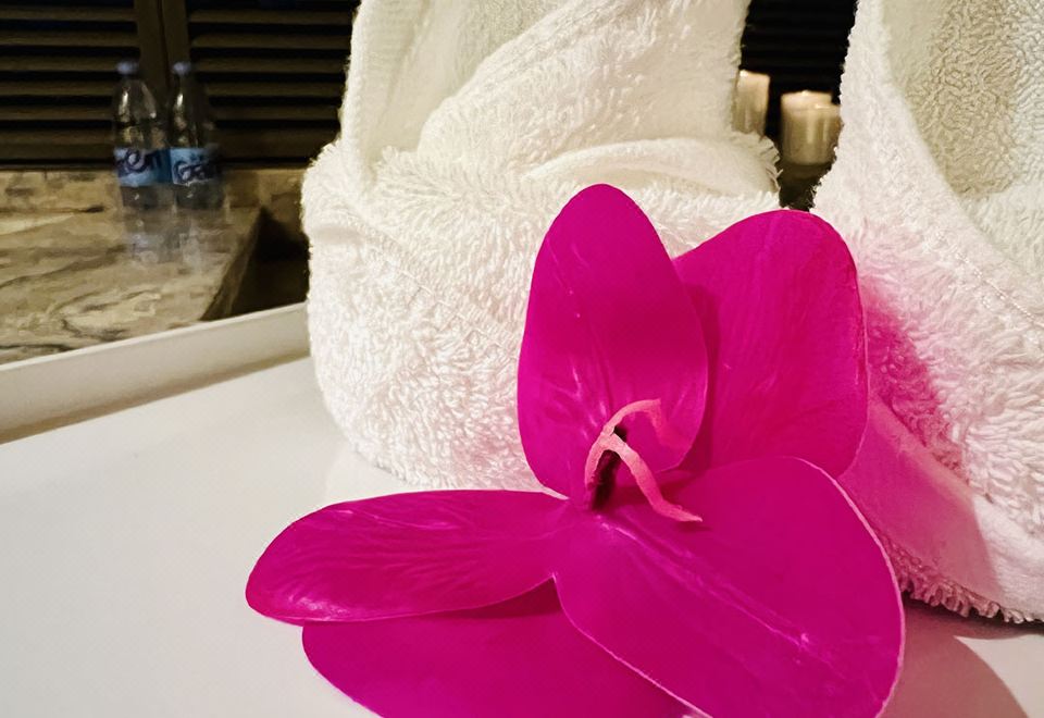 汤泉麻雀豪华套房