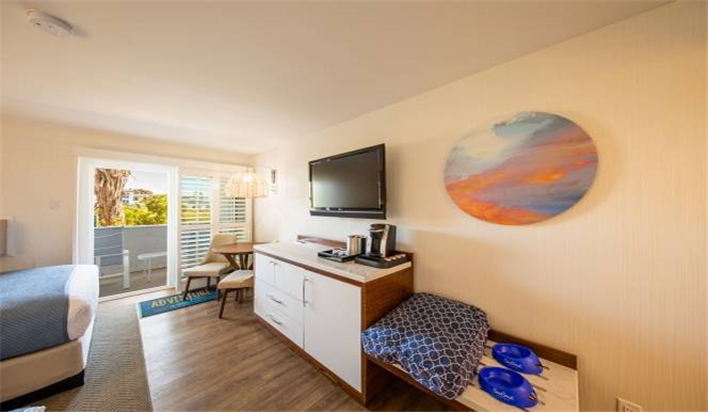 宠物狗友好两张大床房