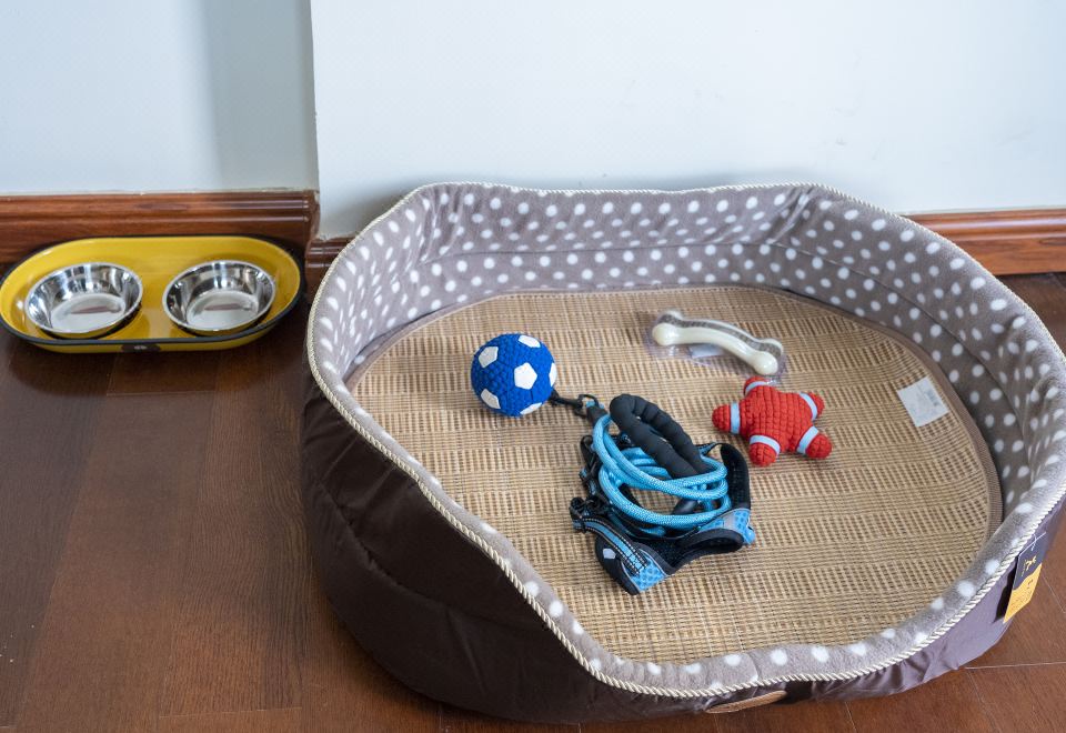 海景家庭三室寵物套房