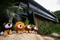 The Funny Lion - El Nido Hotels in 