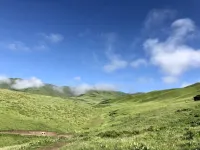 Lungta Farm