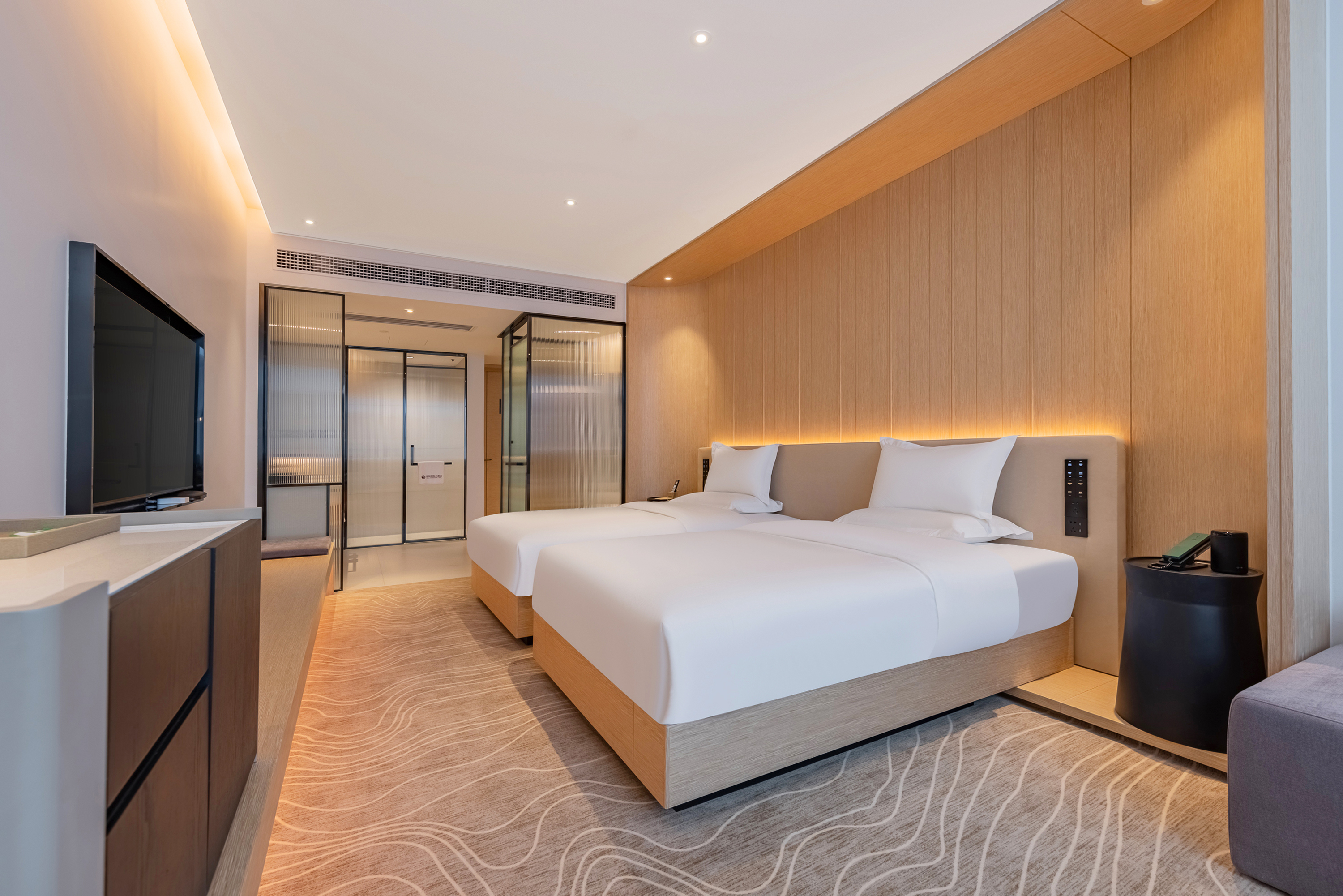 臻享·雅致双床房（智能客控+迷你冰箱）